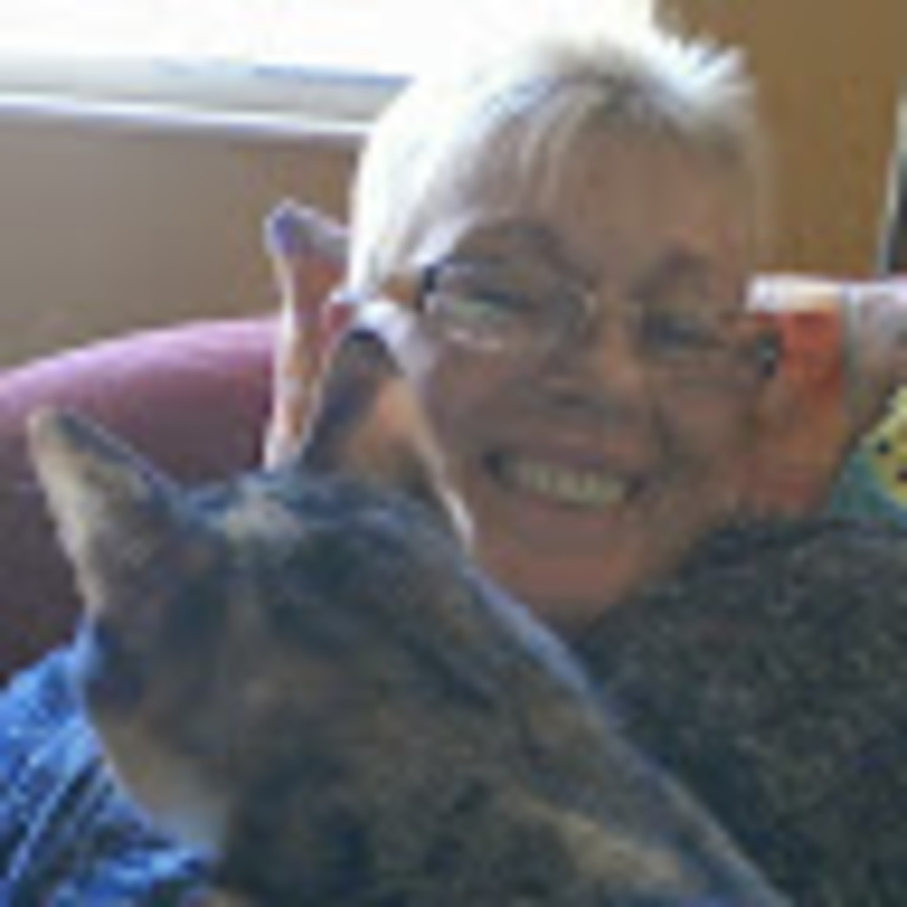 Meet your Posher, Dawn